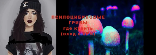 дживик Беломорск