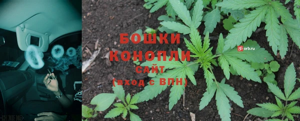 спайс Рославль
