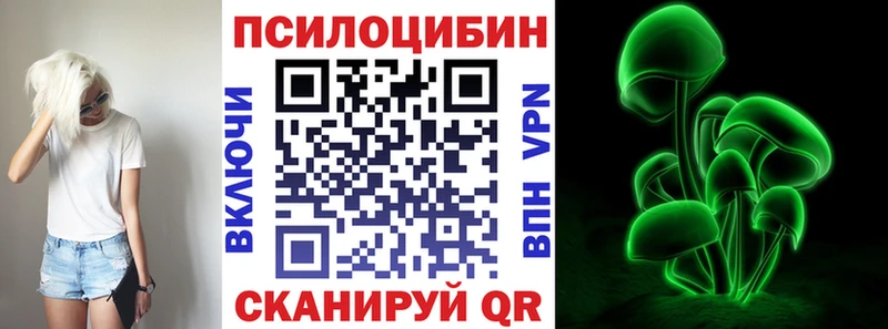 Галлюциногенные грибы Psilocybe  Светлогорск 